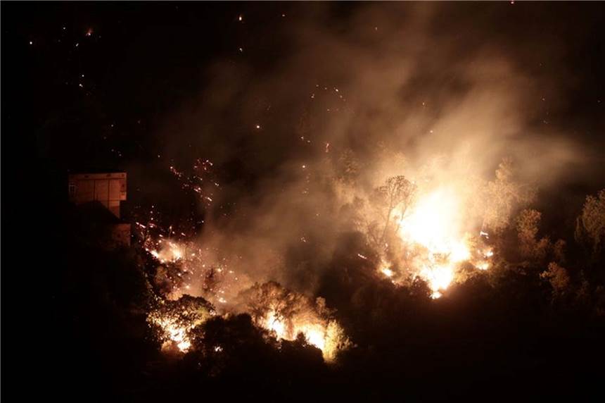Waldbrände in zahlreichen Ländern - 65 Tote in Algerien Flammen lodern in einem Wald in der Nähe des algerischen Dorfes Larbaa Nath Irathen.