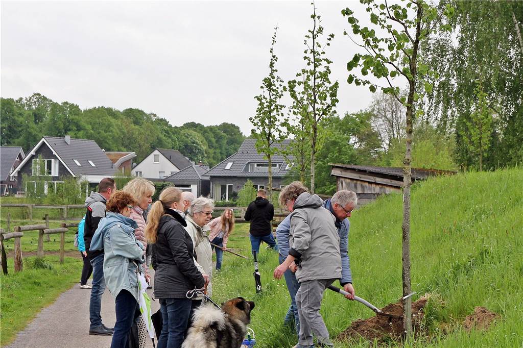 100 Euro für den eigenen Baum: Olfener wurden am Wochenende zu Baumpaten Fleißig wurde gepflanzt.