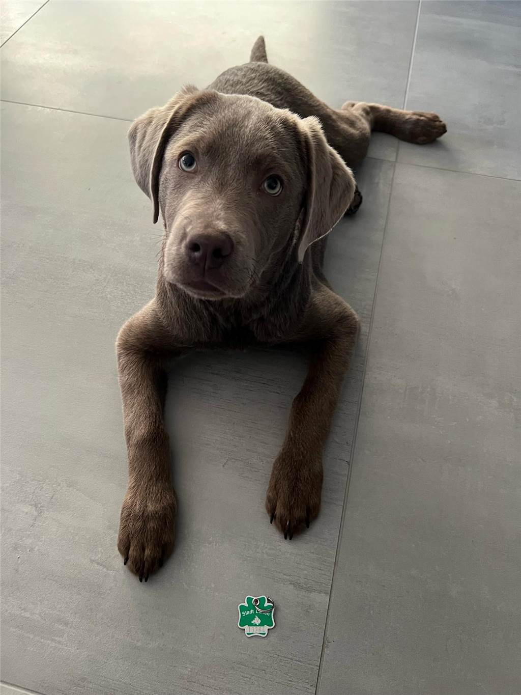 Florian hat uns dieses süße Bild von seinem Hund Ben zugeschickt - einfach goldig!