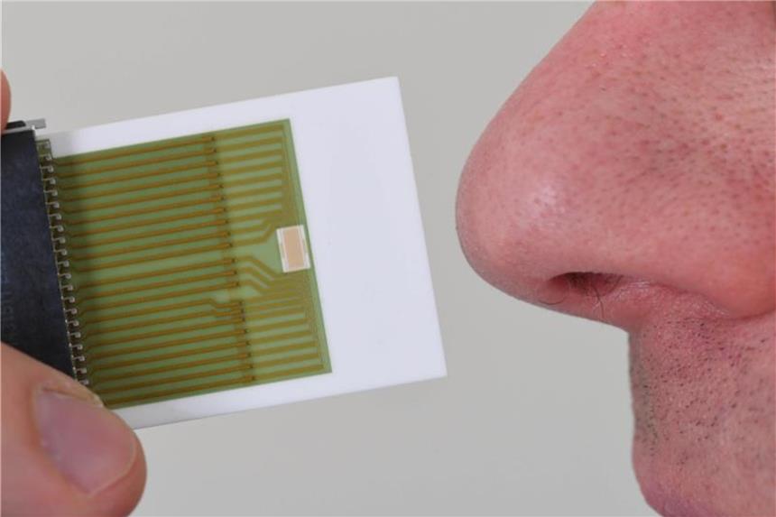 Elektronische Nase erschnüffelt faulen Fisch und Rauch Forscher des KIT haben einen Sensor entwickelt, dem man unterschiedliche Gerüche beibringen kann. Foto: Uli Deck