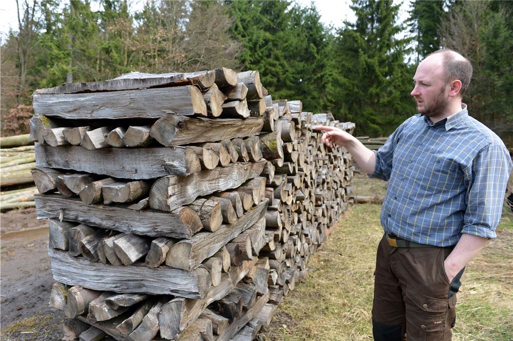 Holzofen statt Gas? Was Sie über das Heizen mit Holz wissen müssen Forstamtsmitarbeiter Matthias Opfer steht im Staatswaldforst in Frankenberg (Hessen) neben einem Stapel Kaminholz. Ein Forsttracker genanntes GPS-Gerät soll Brennholzstapel im Wald überwachen und bei einem Diebstahl den Eigentümer alarmieren.