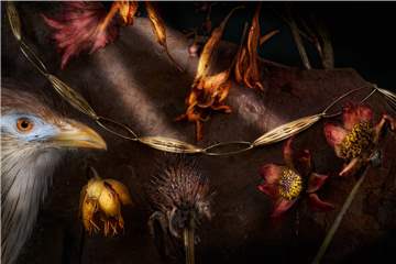 Fotografie und Schmuck – vereint für die Einladungskarte des Galeriehauses Grosche.