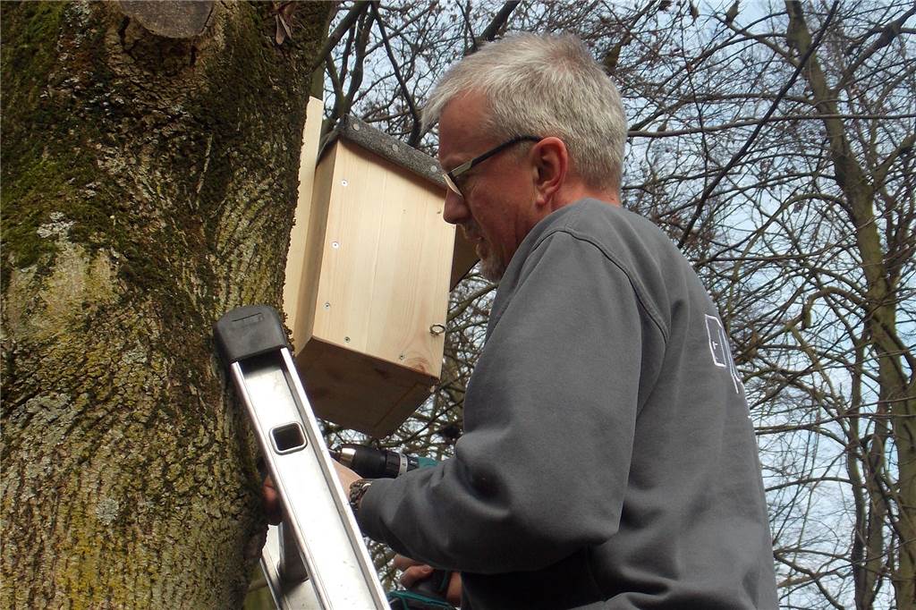 Frank Wolfering suchte im Schlossgarten nach passenden Bäumen für die Nistkästen.