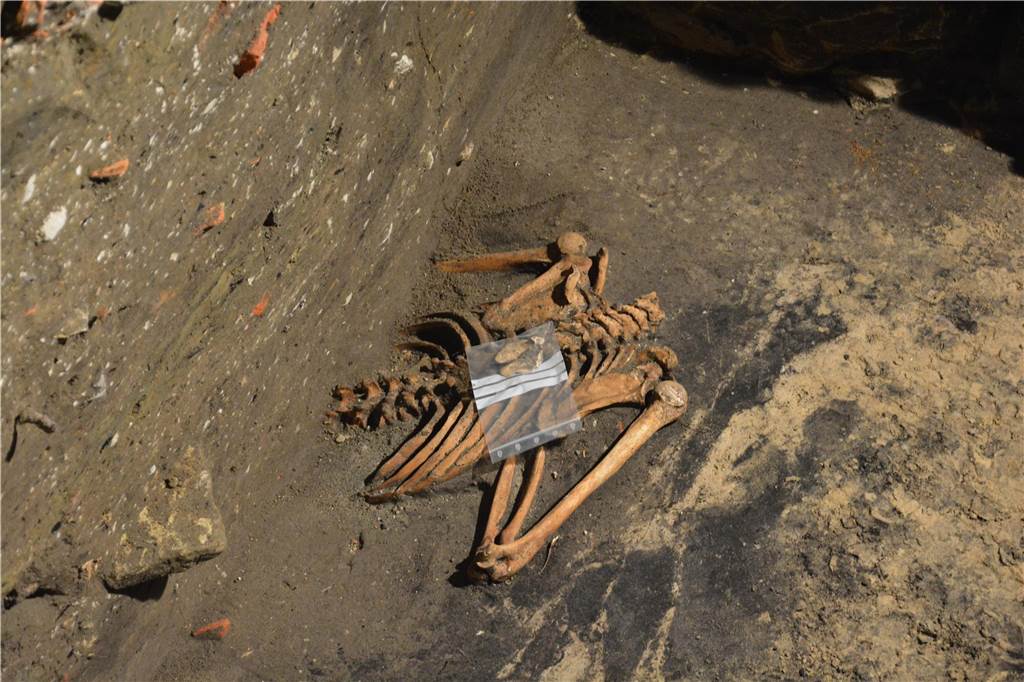 An der Nienborger Burg: Todesfall von vor 700 Jahren wird aufgedeckt Freigelegt: Wie jetzt klar ist, handelt es sich bei dem Skelett um einen jungen Mann, der geköpft wurde.