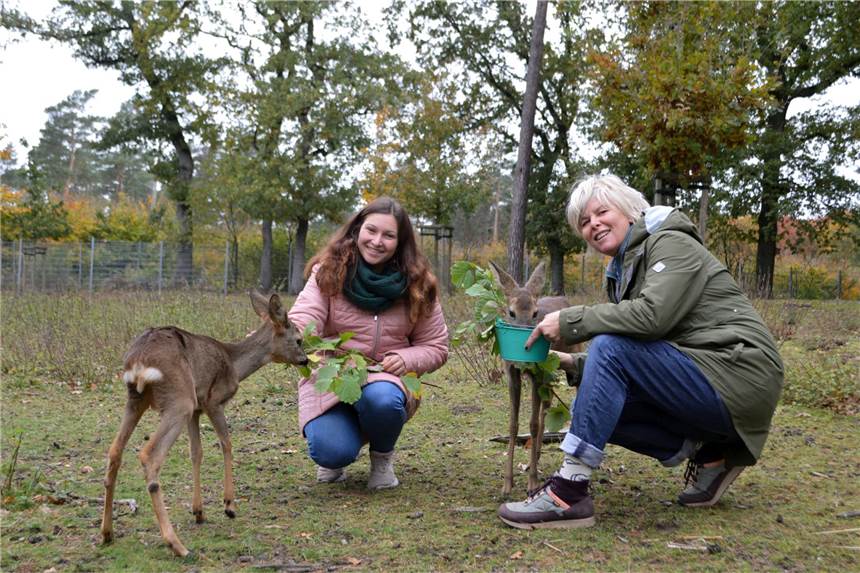 Zwei süße Rehkitze finden in der LWL-Klinik ein neues Zuhause Freuen sich über den Einzug von Fritzi und Nala: Das Team der Tiergestützten Therapie, Michelle Bollert und Petra Wiethoff.