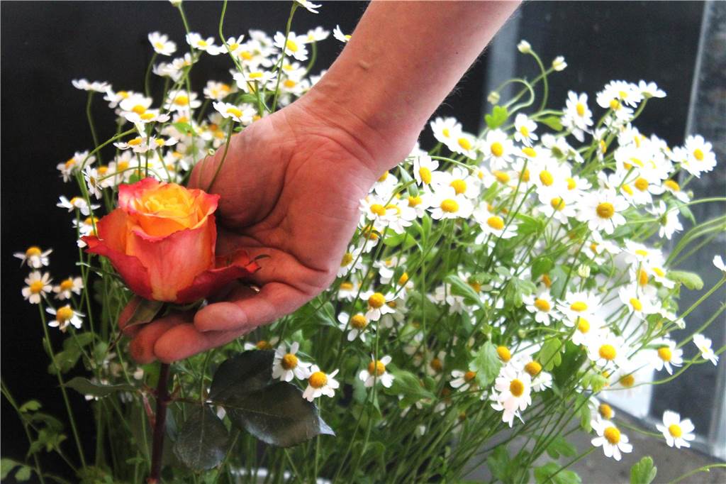 Blumen für den großen Tag: Zu Besuch bei der Florawelt Frische Blumen für die Hochzeit: hier ein erster Eindruck.