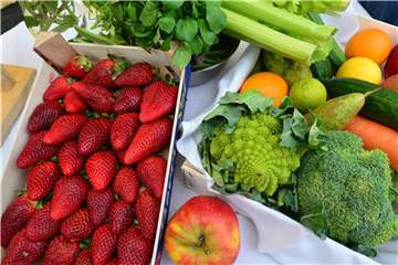 Frisches Obst und Gemüse: Umweltexperten empfehlen eine Vergünstigung pflanzlicher Lebensmittel. Foto: Martin Schutt