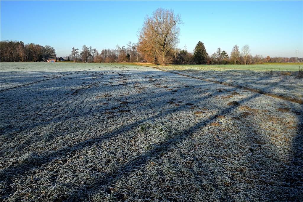 Frost überzieht alle Felder vor allem am Morgen.