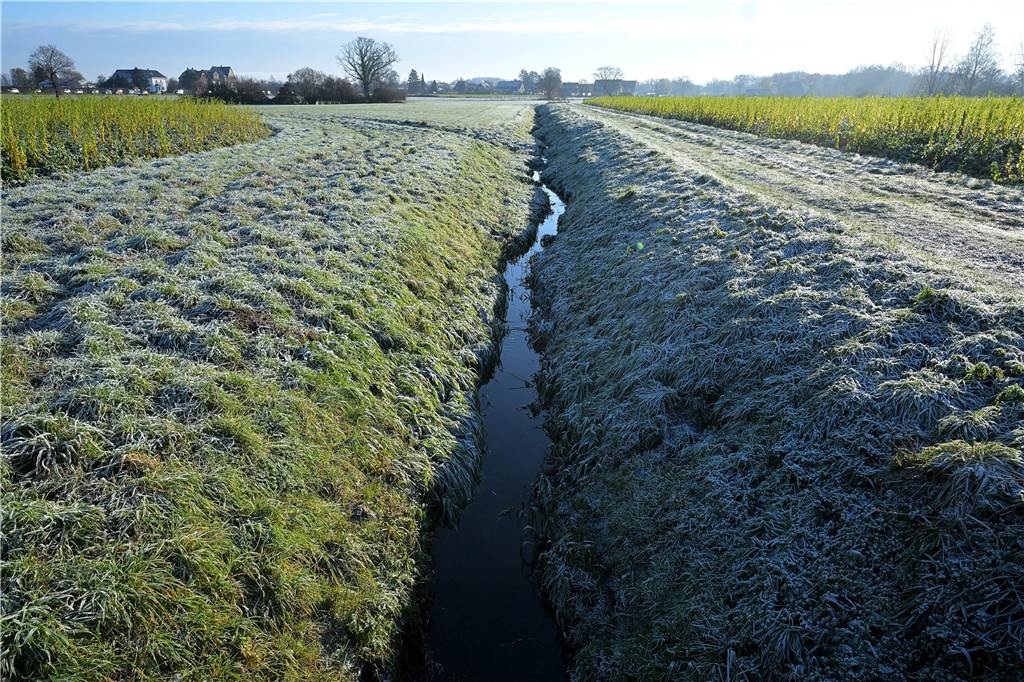 Frost überzieht alle Felder vor allem am Morgen.