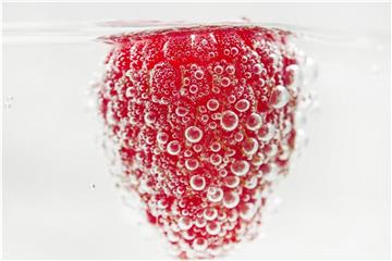 Fruchtige Beeren verleihen simplem Wasser mehr Geschmack. Foto: Franziska Gabbert