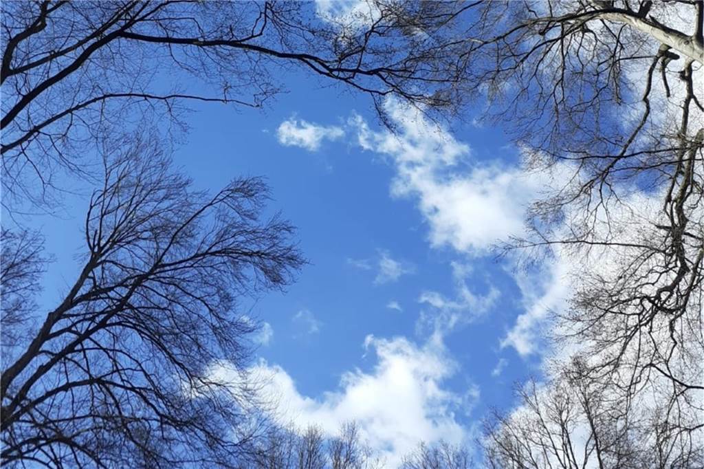 Der blaue Himmel mit Wolken ist zu sehen.