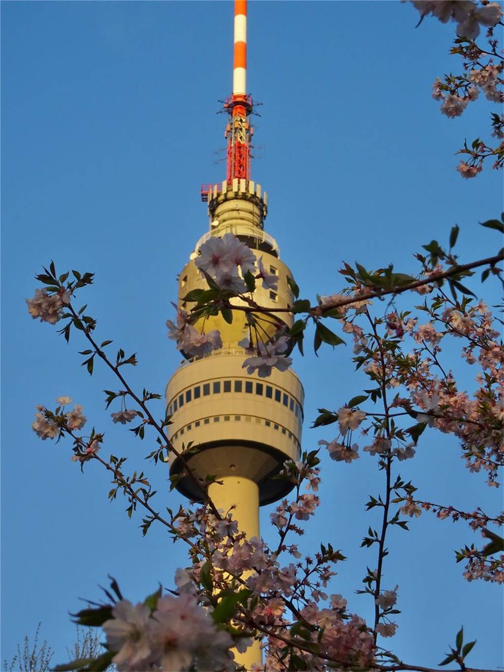 Frühlingsfotos aus dem Westfalenpark von Jiayi.