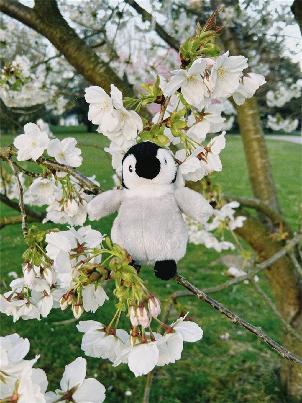 Frühlingsfotos aus dem Westfalenpark von Jiayi.