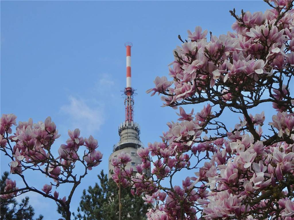 Frühlingsfotos aus dem Westfalenpark von Jiayi.