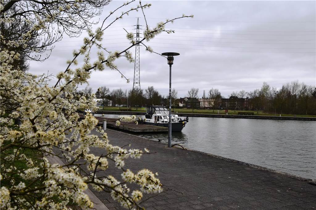 Frühlingsstimmung am Preußenhafen.