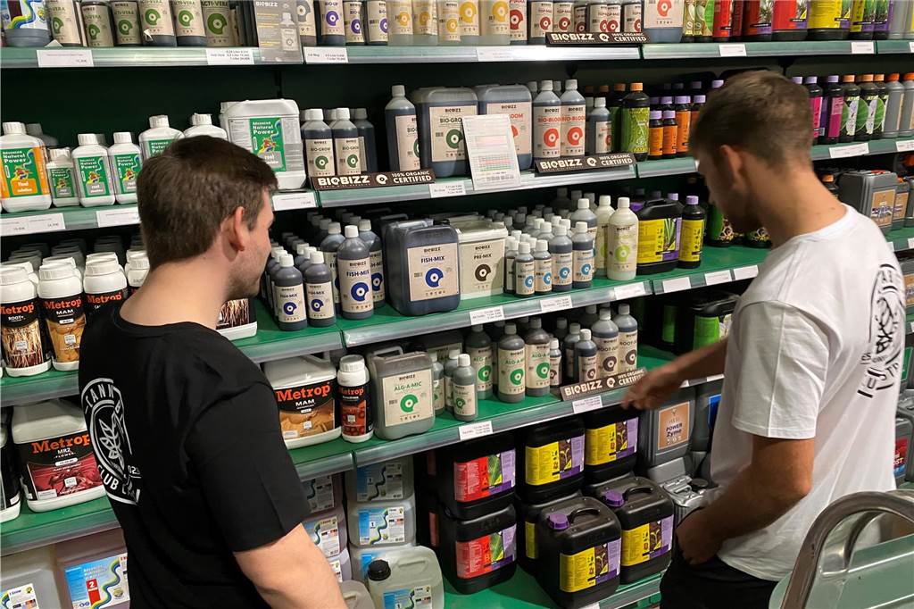 Cannabis Club findet Anbau-Halle und wartet nun nur noch aufs Gesetz Fünf junge Männer gründen in Castrop-Rauxel einen Cannabis-Club. Sie setzen sich für die Legalisierung der Droge ein, die in den Niederlanden seit Jahrzehnten legal konsumiert und verkauft werden kann.