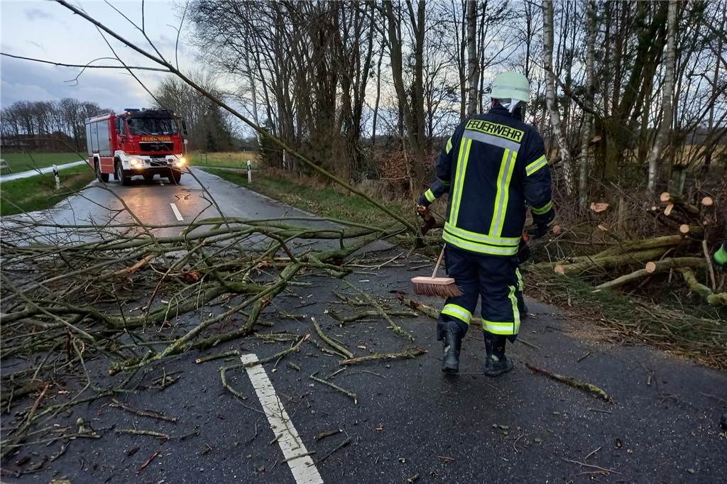 Fünf Mal rückte die Stadtlohner Feuerwehr am Donnerstagmorgen aus, um umgestürzte Bäume beiseite zu räumen.