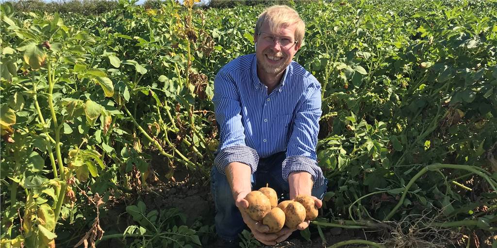 Jetzt geht es los: Bio-Hof Schulze Altcappenberg erntet Kartoffeln in Bork Für Bewirtschafter Christian Berndt und sein Team beginnt am Wochenende die Kartoffelernte.