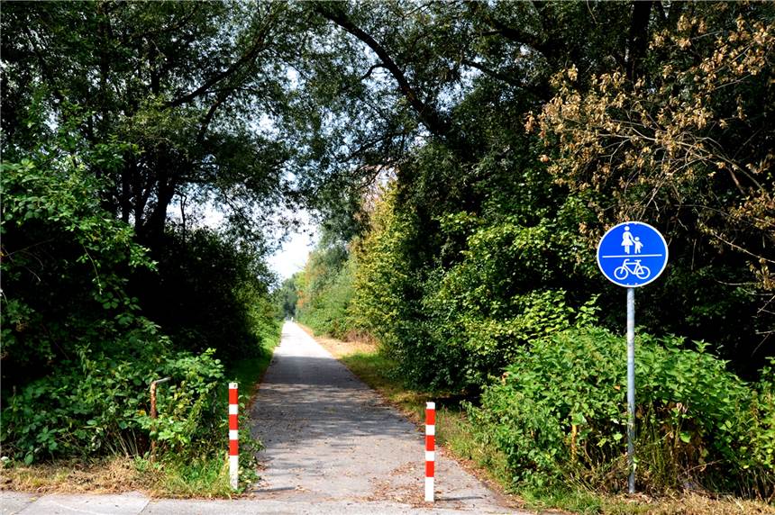 Bäume fallen in Nette: Emschergenossenschaft baut die letzten Kilometer Abwasserkanal Für den Bau des Zechengraben-Kanals muss die Emschergenossenschaft im Bereich des Radwegs zwischen Mengeder Straße und Haberlandstraße Bäume roden.