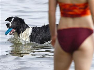 Für den Hund muss am Strandtag Trinkwasser mitgenommen werden. Nach dem Bad im Meer sollte er zudem abgeduscht werden. (Bild: dpa)