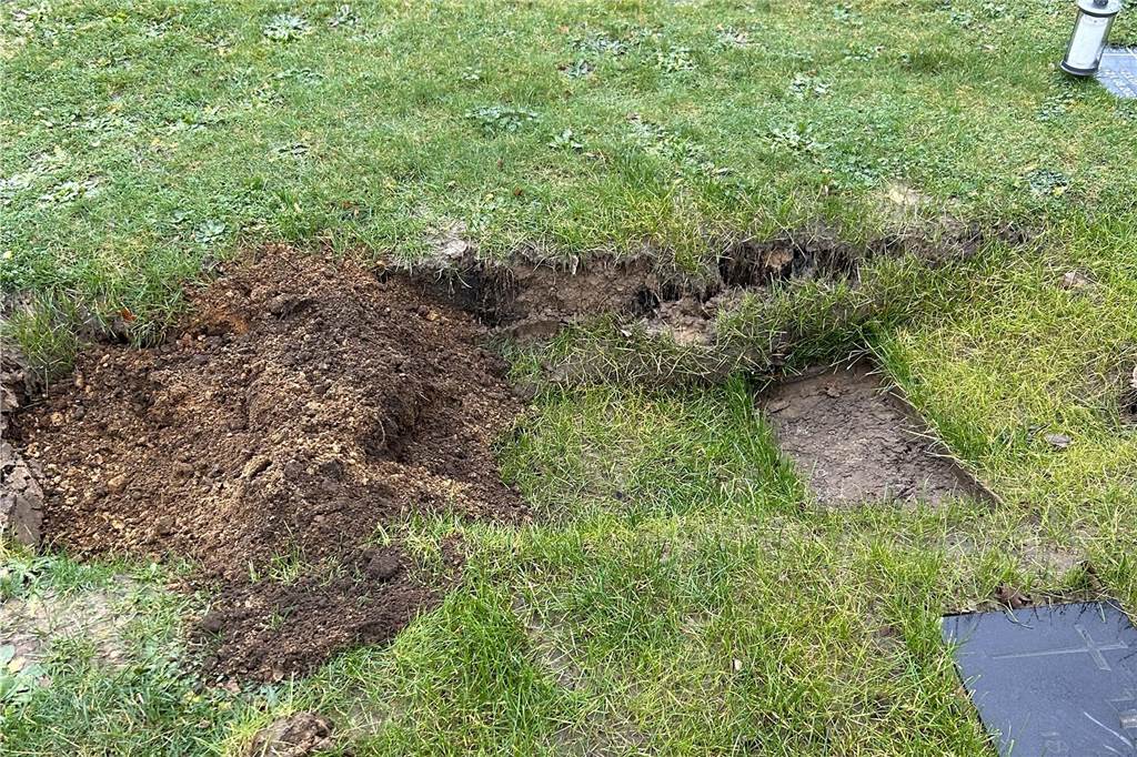 Mehrere Rasengräber auf altem Friedhof in Sythen abgesunken Aufgewühlte Erde an einem Rasengrab