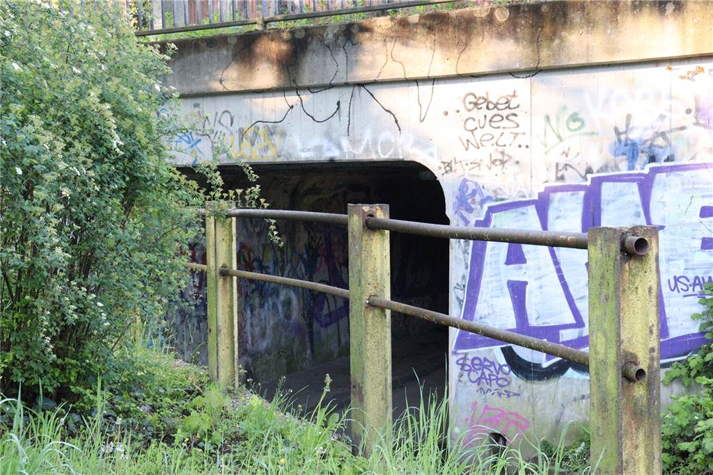 Eklig und beängstigend: Dortmunder Gymnasium kämpft für besseren Schulweg Für die Eltern ein Angstraum, für die Schüler einfach nur ekelig: Der versiffte Fußgängertunnel von der Haltestelle Poth zur Mathildenstraße.