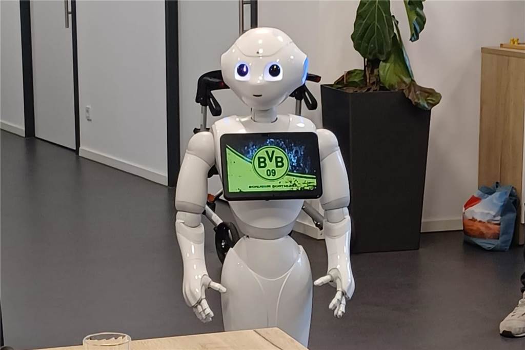 Pflegeroboter zu Besuch in Tagespflege: Keine Berührungsängste bei Senioren Für die Fußball-Fans unter den Gästen der Tagespflege hatte der Roboter die BVB-Hymne mit dabei.