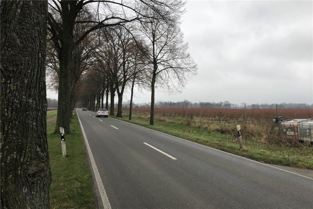 Unfälle auf der Rhader Straße: André Szczesny sieht besonderes Risiko Für die Rhader Straße will Feuerwehr-Chef André Szczesny eine Tempo-Beschränkung.