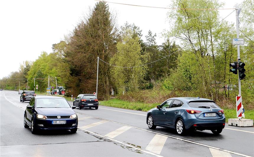 Mittelinseln sollen Stockwieser Damm entschärfen Für die Zeit der Arbeiten wird der Verkehr durch Ampeln geregelt.