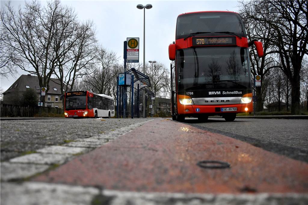 55 Bäume sollen für den neuen Busbahnhof und die Parkplätze weichen Für Doppelstock-Busse und normale Busse müssen die zehn neuen Bushaltestellen samt Überdachung natürlich ausgelegt werden. Rund zwei Jahre sollen die Arbeiten dauern. Beginn könnte im kommenden Sommer sein.