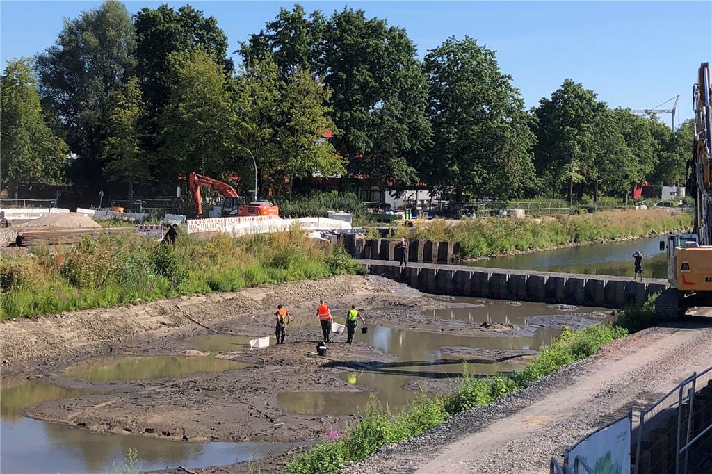 Biologen retten über 1000 Fische und Muscheln aus der trockengelegten Berkel Für ein Jahr wird der am Dienstag fertiggestellte Fangedamm die knapp 200 Berkelmeter vor dem Mühlenwehr trocken setzen. Das Foto entstand von der Aussichtsplattform an der Burgstraße, sie sich seit einigen Tagen besonderer Beliebtheit bei den Stadtlohner erfreut.