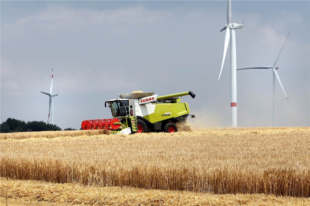 Schwierige Wetterlage: Trockenheit setzte Halterner Landwirten 2022 zu Ein Mähdrescher mäht Getreide zwischen Windrädern in Haltern.