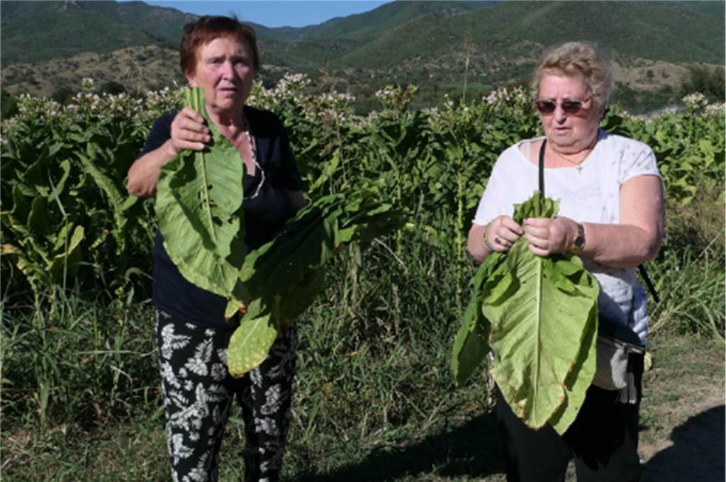 „Stella kennt in Ickern jeder“: Wie die Agora seine „gute Seele“ bekam Für einen Dokumentarfilm reisten Stella Ananiadou (l.) und ihre Freundin Sofia Papadoupoulou im vergangenen Jahr zurück in die griechische Heimat.