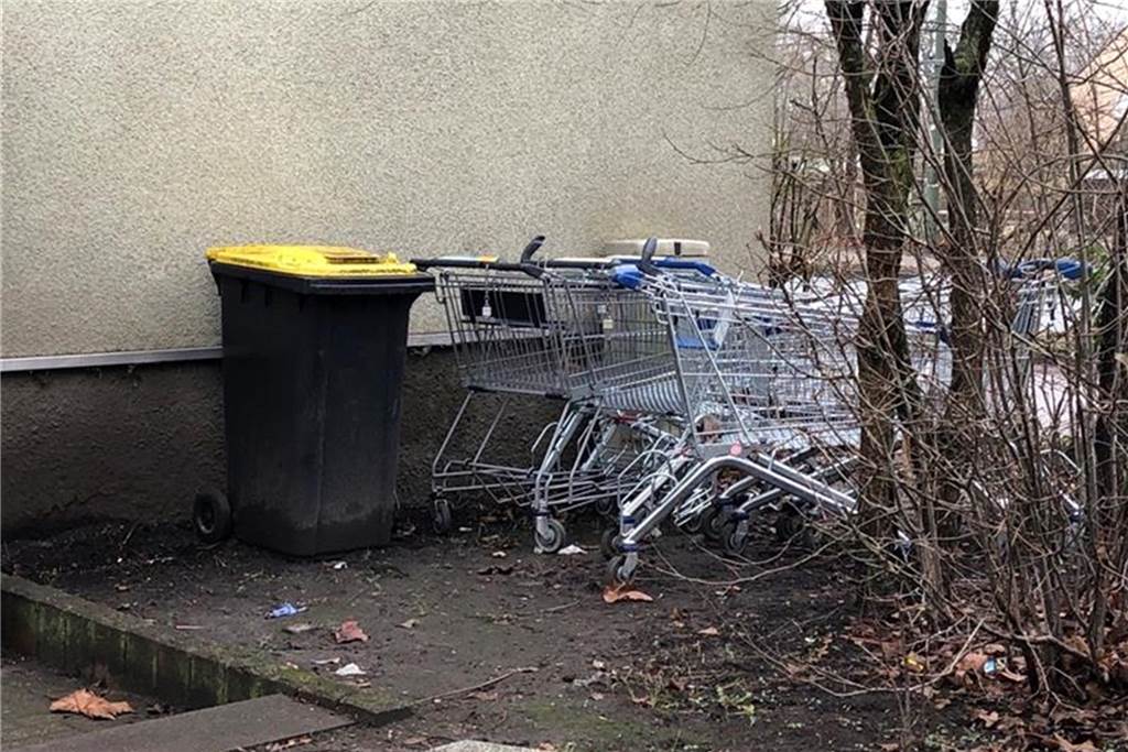 Eine Stadt verkommt zum Friedhof für herrenlose Einkaufswagen Für Einkaufswagen auf Privatgrundstücken ist das Ordnungsamt nicht zuständig.