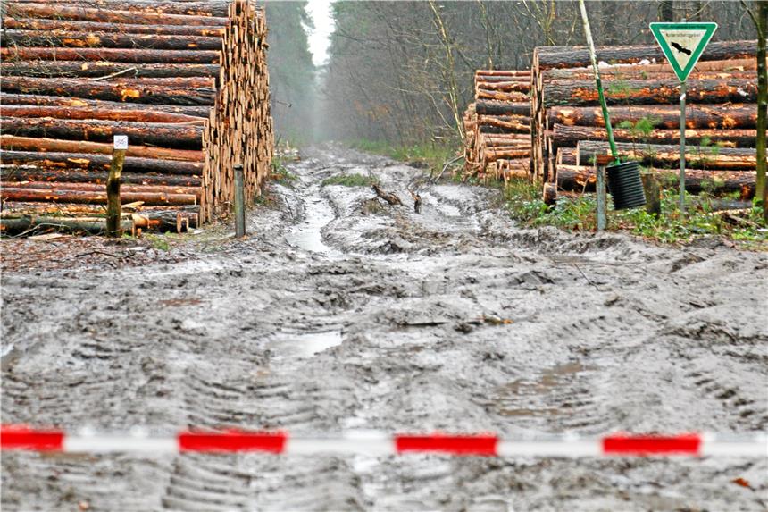 Für Fußgänger nicht passierbar stellte sich der Wanderweg zu den Lüntener Fischteichen dar. In dem Gebiet fanden Forstarbeiten statt. 
