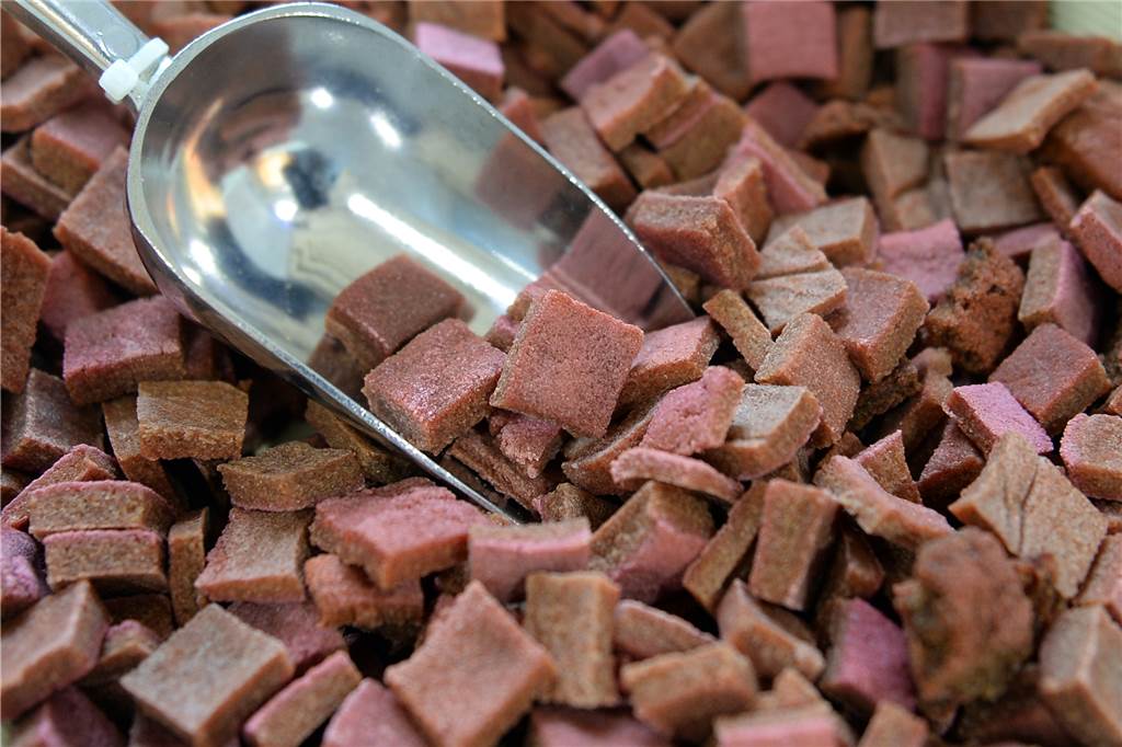 Kann eine vegane Ernährung auch fürs Haustier gesund sein? Das raten zwei Expertinnen Für Hunde gibt es im Handel unter anderem vegane Kekse.