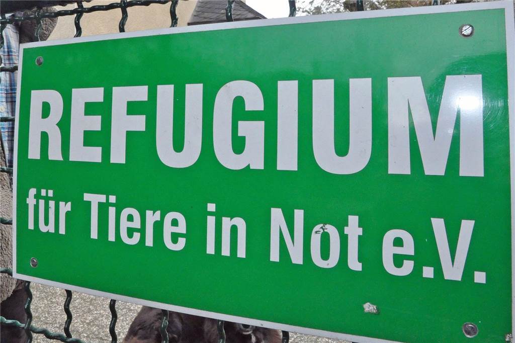 Elke Balz sucht Nachfolger für ihr Refugium für Tiere in Not Für ihren e.V. sucht Elke Balz aus Castrop-Rauxel einen Nachfolger.