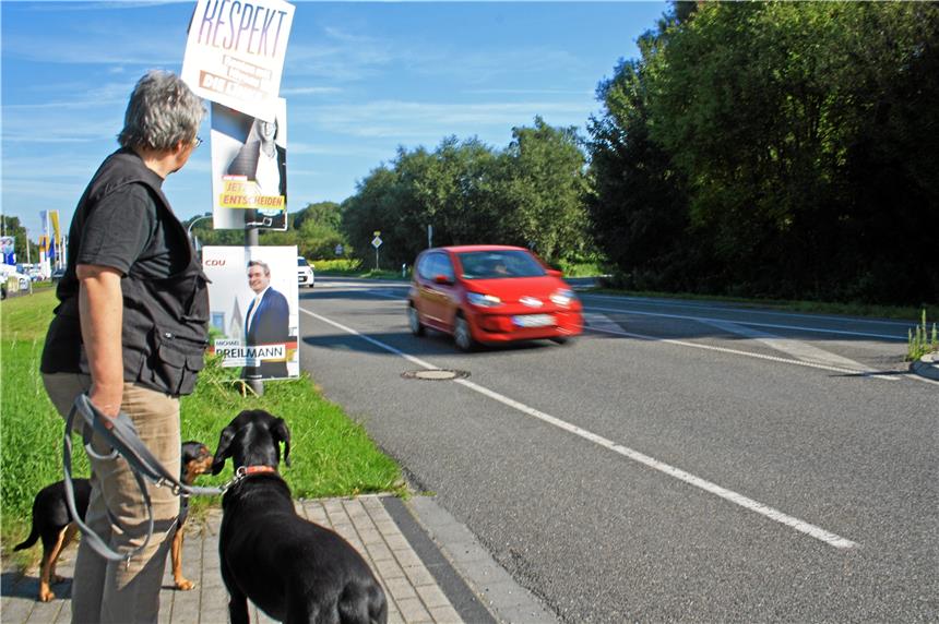 Für Ilona Leichsenring stellen die Wahlplakate an der B235 in Höhe der Marsstraße ein Sicherheitsrisiko dar. Die Plakate wurden in beiden Fahrtrichtungen an Laternenmasten aufgehängt – direkt neben einer Fußgängerinsel. PÜSCHNER
