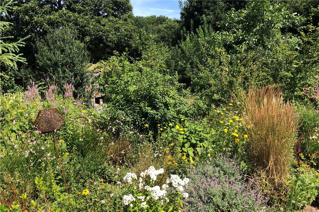 Leonore Demmer zeigt ihr Traumhaus und Gartenparadies (mit Video) Für Insekten ist der Garten von Leonore Demmer ein gefundenes Fressen.