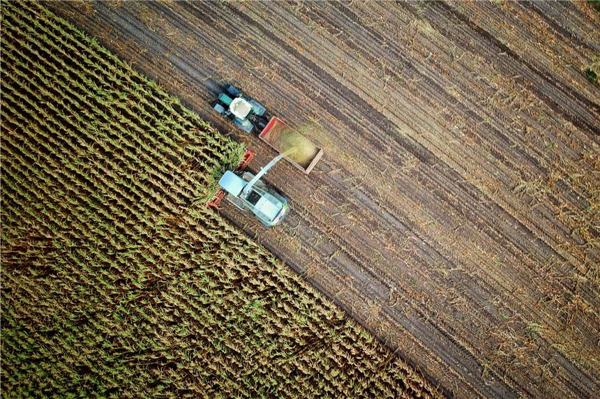 Zahlen und Fakten zur EU-Förderung für Landwirte Für Landwrite zählt nur die Fläche, die sie bewirtschaften, wenn sie Geld von der EU haben wollen.