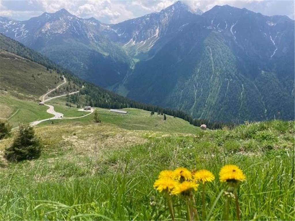 Für RN-Redakteurin Magdalene Quiring-Lategahn ging es diesen Sommer quer durch Italien, ein Zwischenstopp war dabei der Jaufenpass in Südtirol.