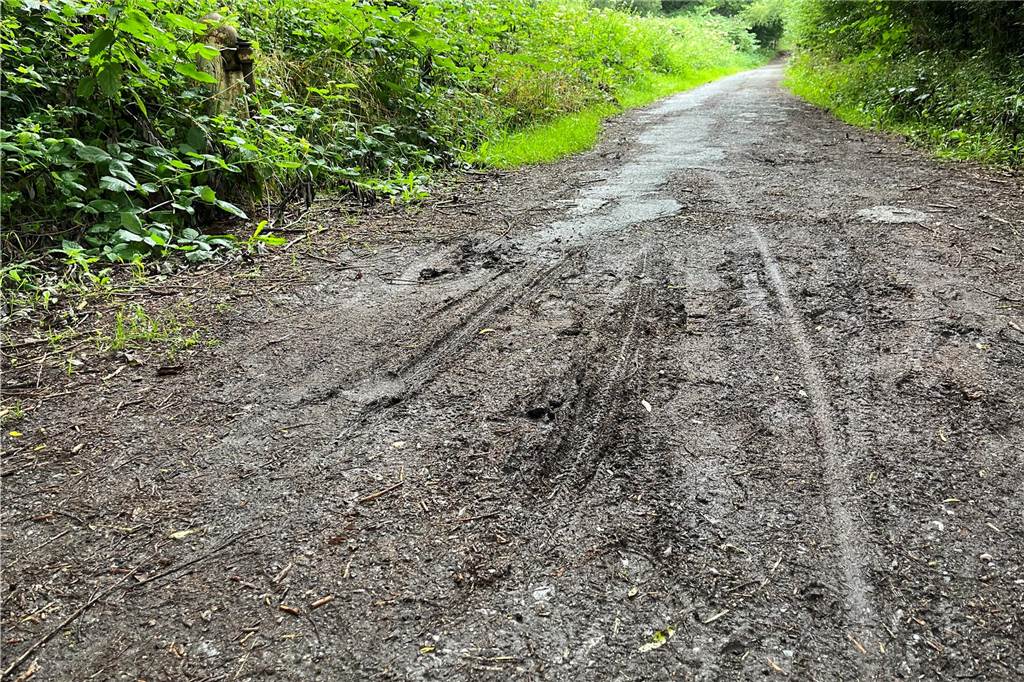 Initiativkreis fordert Instandsetzung am Naturlehrpfad-Eingang Für Rollator- und Rollstuhlfahrer eine Hürde bildet der schlammige und holprige Eingangsbereich des Naturlehrpfads Alte Körne auf Scharnhorster Seite