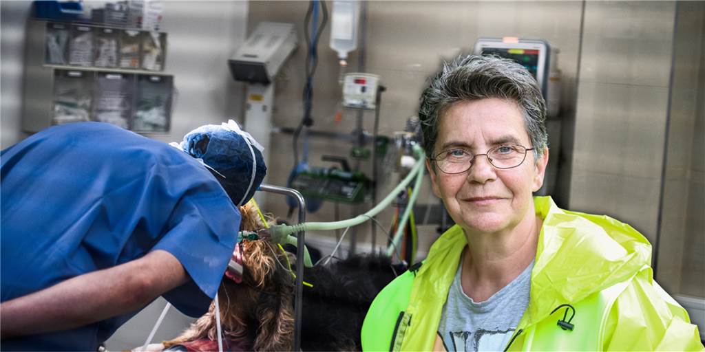 „Für Dortmund heißt das: tote Tiere" - Klinik stellt Wochenend-Notdienst ein Gabriele Bayer von der Tierschutzorganisation Arche90 fordert einen tierärztlichen Notdienst im Raum Dortmund.