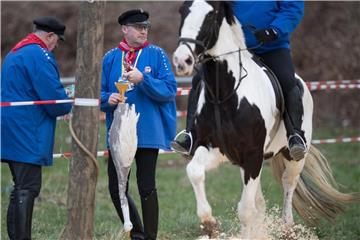 Gänsereiter mit Gansattrappe in Bochum. Foto: Bernd Thissen