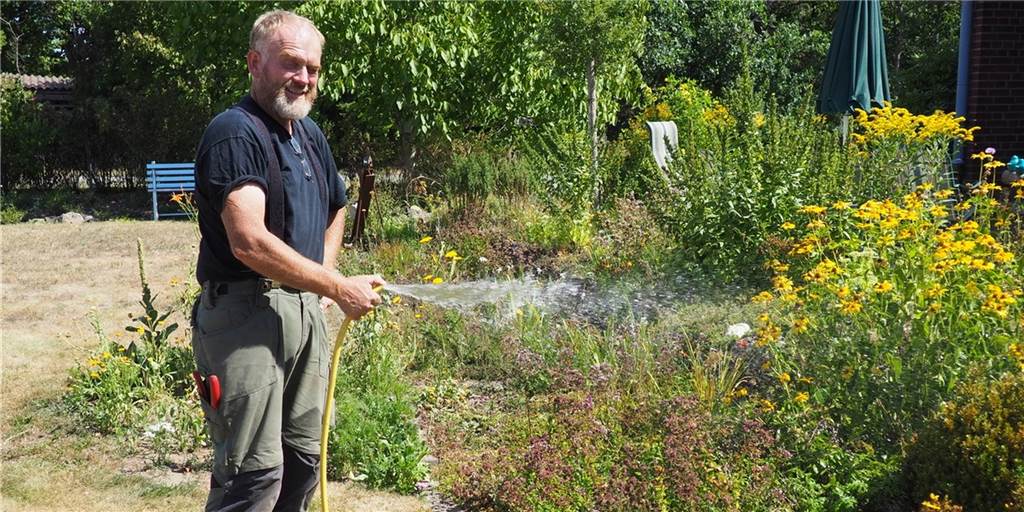 Gärtner zum Wasserverbrauch: Lieber kürzer duschen als den Garten aufzugeben Gärtner Mirko Noch aus Haltern empfiehlt, Staudenbeete eigenhändig zu bewässern und auf einen Sprenger zu verzichten.
