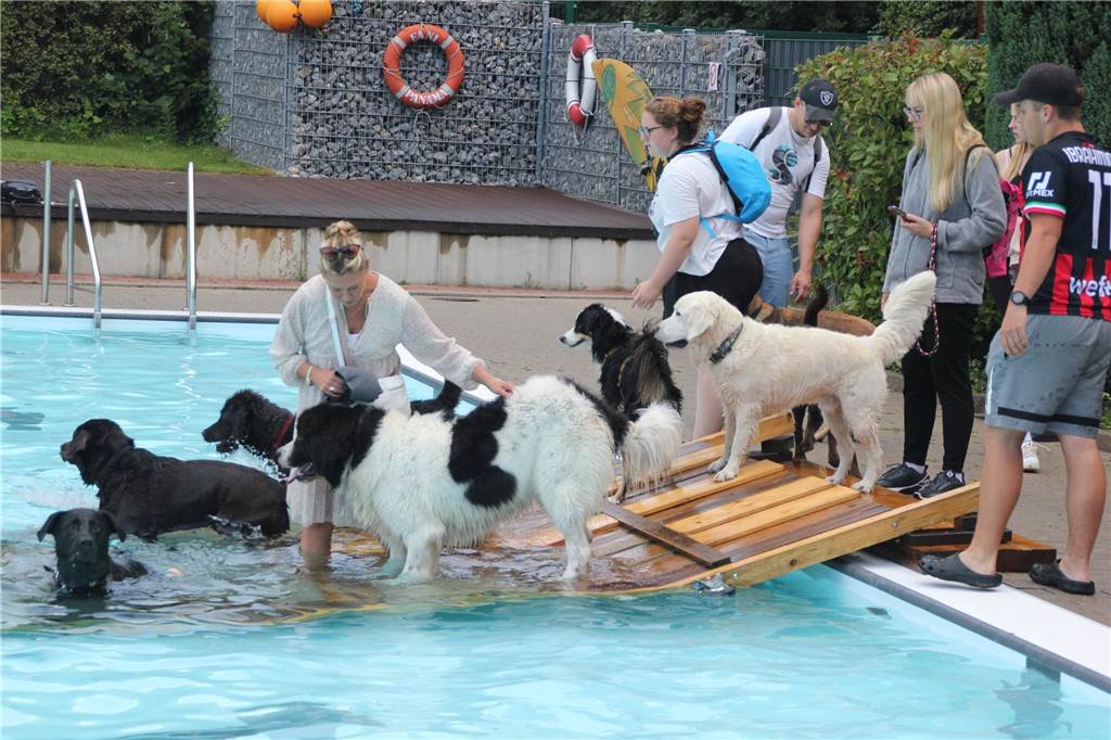 Gäste auf vier Pfoten durften zum Saisonabschluss ins Freibad Brambauer.