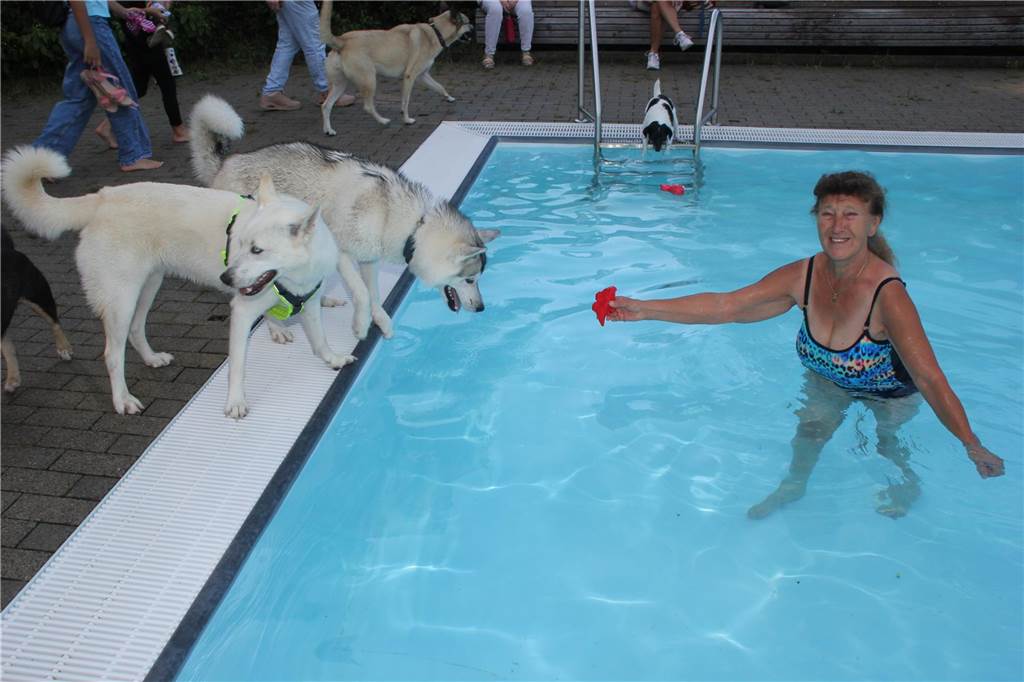 Gäste auf vier Pfoten durften zum Saisonabschluss ins Freibad Brambauer.
