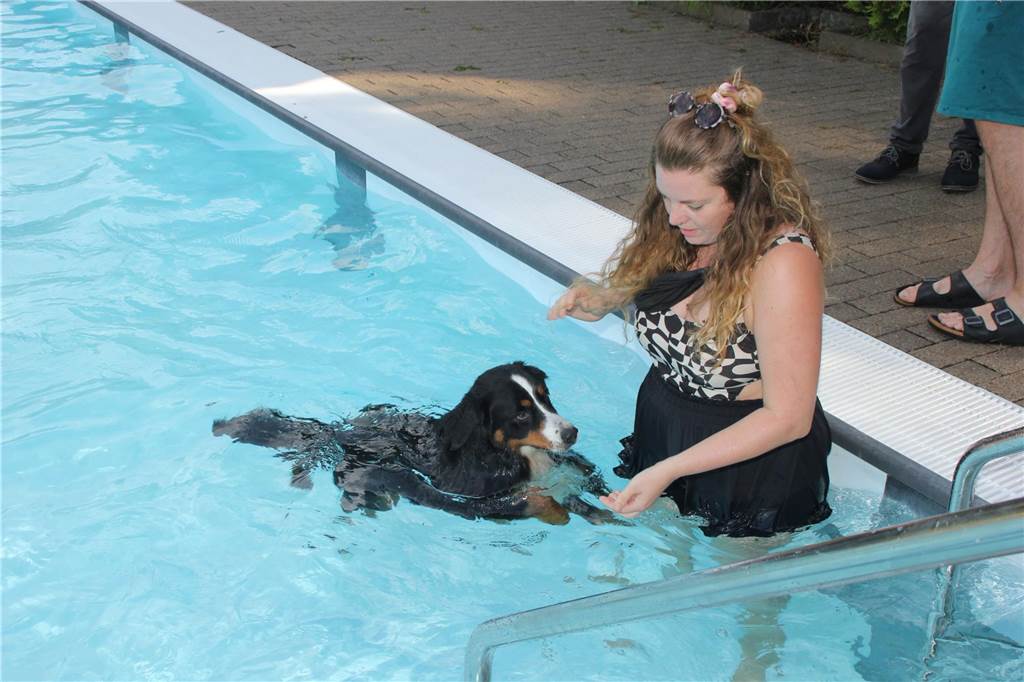 Gäste auf vier Pfoten durften zum Saisonabschluss ins Freibad Brambauer.