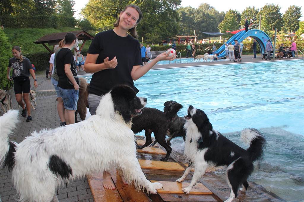 Gäste auf vier Pfoten durften zum Saisonabschluss ins Freibad Brambauer.