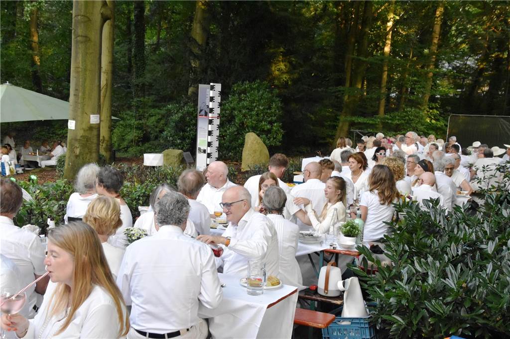 "Ganz in Weiß": Das Publikum an der Schlossmühle